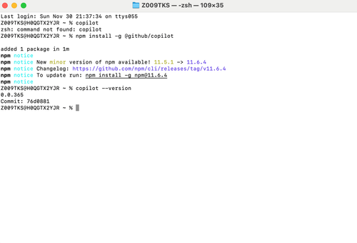 Copilot CLI 版本验证输出