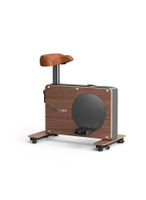 Xenjoy Cube Cycle under desk bike