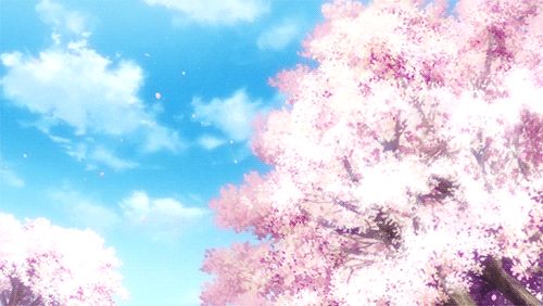 Cherry Blossom 5 Centimeters Per Second GIF