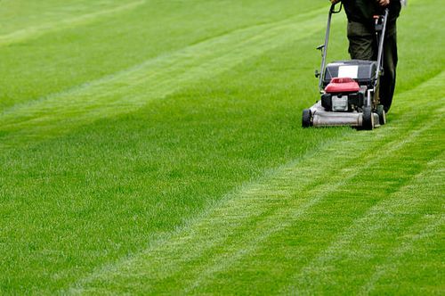 Mowing the lawn Person cutting grass in parallel lines striped lawn stock pictures, royalty-free photos & images