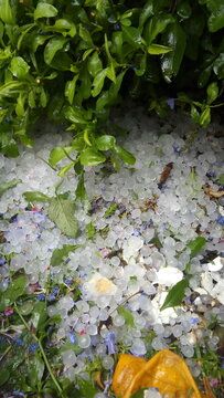 Granizo en Saltillo Coahuila