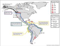 Ancient DNA evidence narrows down when people first reached the Americas - Phys.org