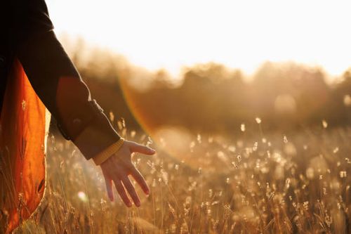 Feel the beauty of nature with all your senses Close-up shot of woman's hand touching dry grass in autumn meadow at sunset nature stock pictures, royalty-free photos & images