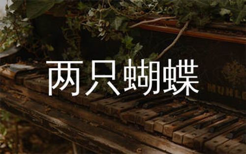 两只蝴蝶钢琴谱_庞龙_C调_两只蝴蝶钢琴独奏谱