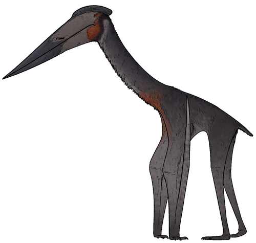 hatzegopteryx thambema