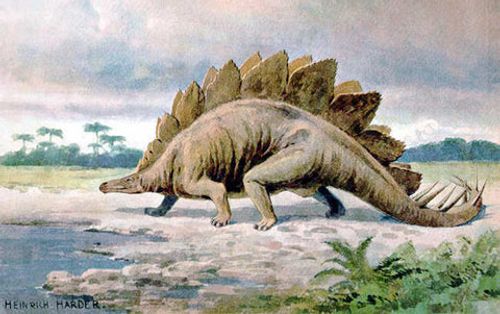 5 Most Popular Dinos That Roamed the Earth | Womple Studios | Womple Studios
