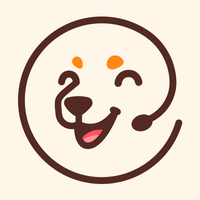 All remote companies