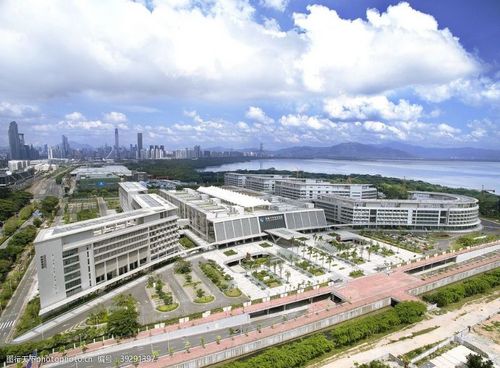 香港大学深圳医院图片