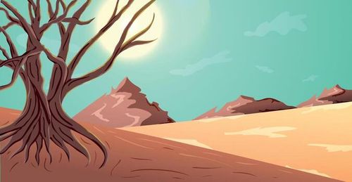 Desert Summer view Landscape Illustration With Amazing Tree vector