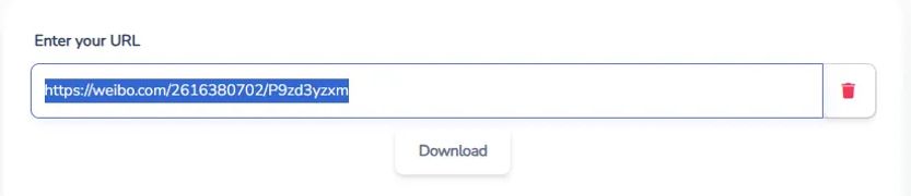 Paste the Weibo link into BraveDown weibo video downloader input field