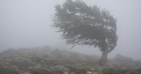 Yellow weather warning issued for Pembrokeshire as winds of up to 75mph expected