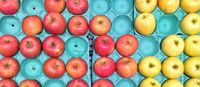 Unsupervised Learning: Algorithms and Examples | AltexSoft