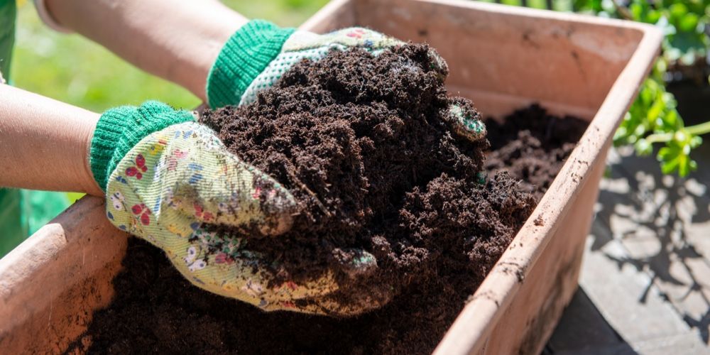 Make organic manure at home, give new life to your plants