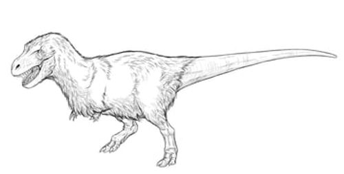 how to draw realistic trex