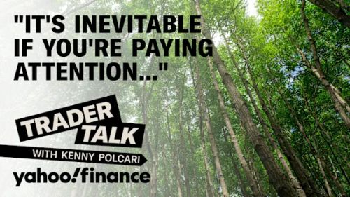 Carbon credits are finally getting priced. Here's why it matters