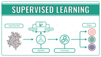 Putting Supervised and Unsupervised Learning to Work for Your ...