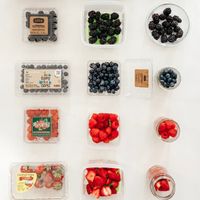 LPT: Want your fruit to last longer in the fridge? When you get home from the store, soak them in a mixture of vinegar and water for five minutes then dry thoroughly. They will last much longer without getting moldy.