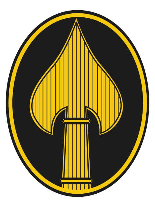 Office of Strategic Services Insignia