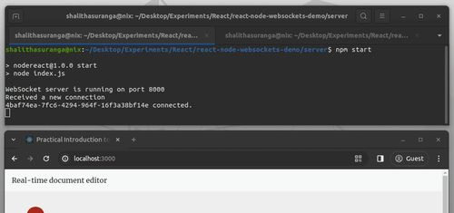 The Terminal Shows New WebSocket Client Connection IDs
