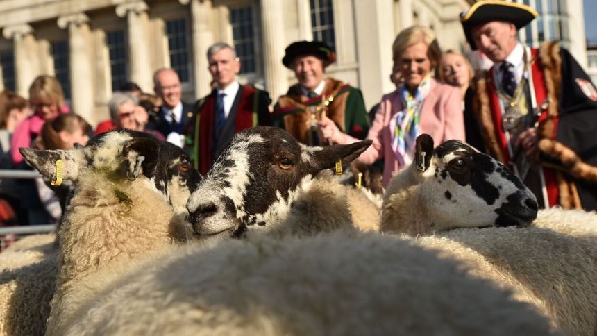 Gloria Hunniford Leads Sheep Drive Across London Bridge for Charity
