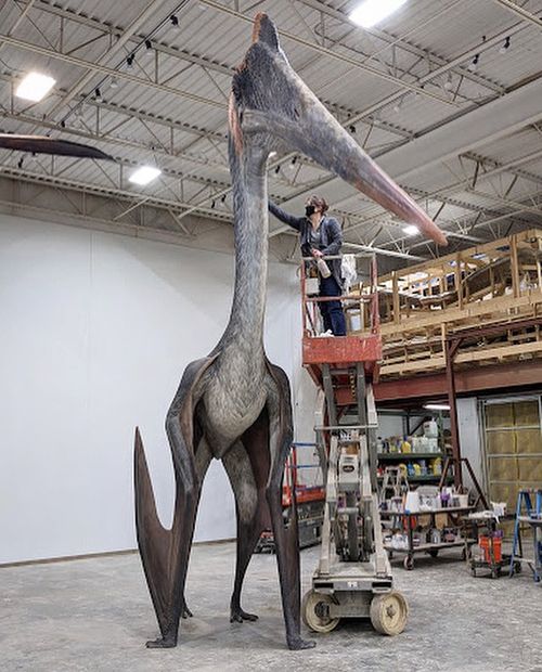r/playark - Quetzalcoatlus Northropi (longer wingspan than F-16s; 11 meters in height; ~70,000 millennia ago)