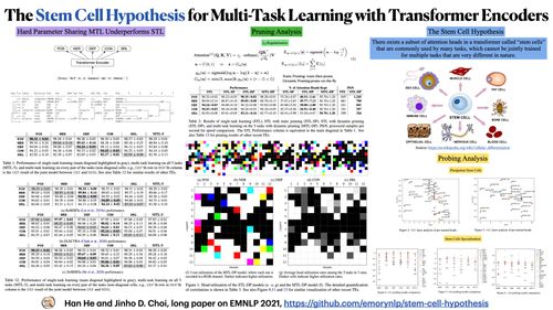 #EMNLP21#干细胞假说：神经网络也具备干细胞难成全才
