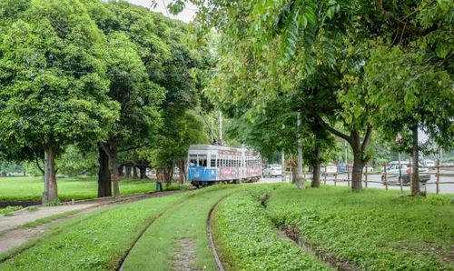 Trams 29 June, 2017. Trams in Kolkata is a tram system in the city of Kolkata, West Bengal, India, operated by the Calcutta Tramways Company (CTC). kolkata-tram stock pictures, royalty-free photos & images