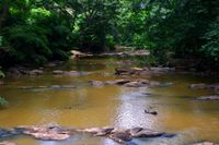 Microplastics in Nigeria’s Osun River: New study flags alarmingly high levels