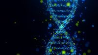 Clues to two mysterious ‘ghost’ ancestors emerge from genetic traces found in modern human DNA - CNN