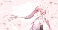 VOCALOID, hatsune miku, sakura / 桜 - pixiv