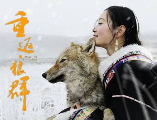 《重返·狼群》自然电影