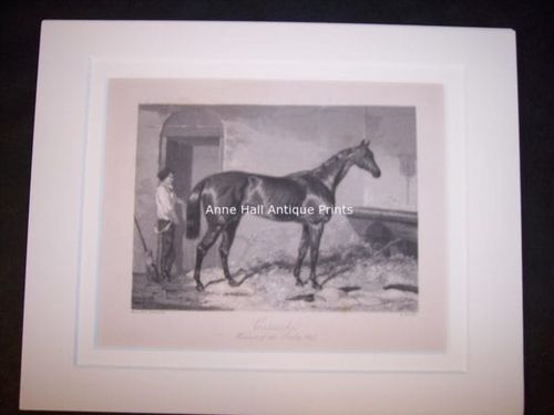 small antique engraving of race horse with groom