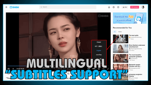 Multilingual Subtitles Support