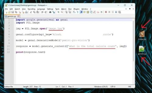 如何访问和使用Google Gemini API密钥（附示例）