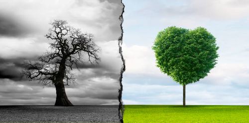 Climate change from drought to green growth Climate change from drought to green growth two different worlds stock pictures, royalty-free photos & images