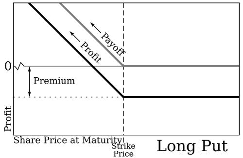 long put option