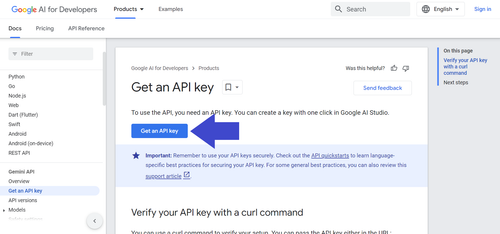 gemini get an api key