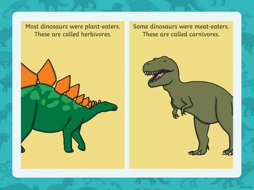 Most dinosaurs were plant-eaters.
These are called herbivores.
Some dinosaurs were meat-eaters.
These are called carnivores.