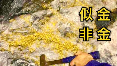 你们有没有在野外捡到金色的矿石？让我来告诉你那是什么！