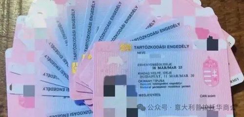 太可惜！回了一趟国 长期居留被废-ITHOME意国之家