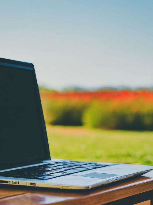 Laptop in Nature FREE Stock Photo, laptop, nature, outdoor picture