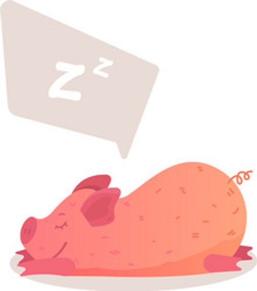 cartoon pig is sleeping on the ground vector