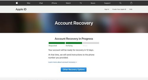 Apple ID Recovery Status