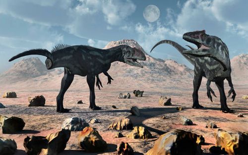 a pair of allosaurus dinosaurs during earths jurassic period. - dinosaur fight stock illustrations