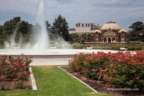 Exposition Park Rose Garden