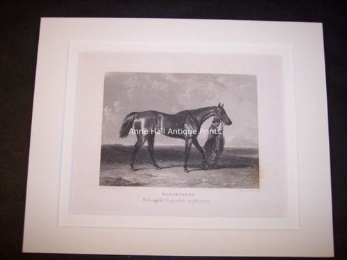 small antique engraving of race horse with groom