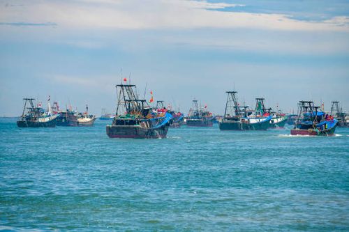 Fishing boats in Lingao County
