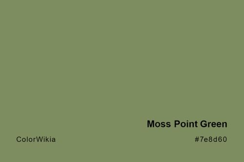 moss point green color 7e8d60