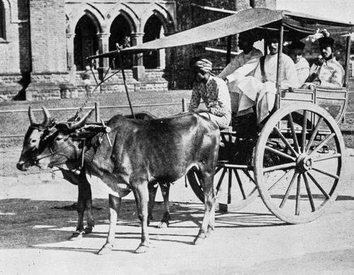people and landmarks of india in 1895: mofussil bullock cart - bullock cart stock illustrations