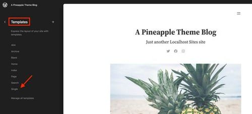 wordpress editor single template